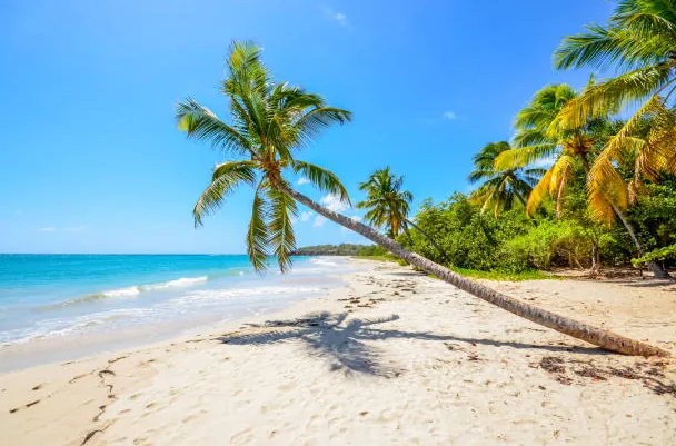 Martinique