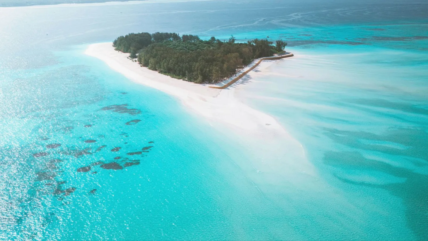 Que faire à Zanzibar : le guide complet des expériences incontournables