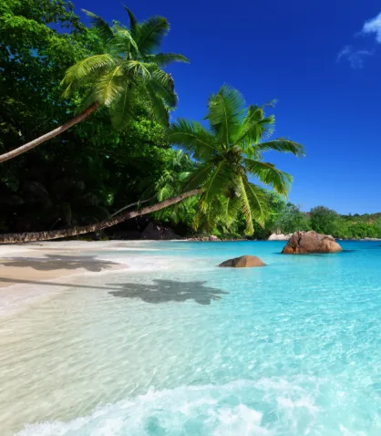 Que faire aux Seychelles : le guide complet des expériences incontournables