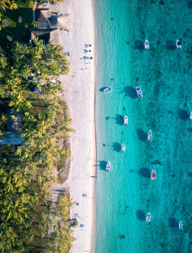 Voyage de noces à Zanzibar : l'évasion romantique entre océan Indien et culture swahilie