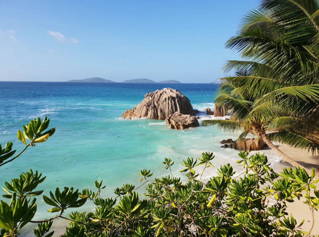 Voyage de noces aux Seychelles : le paradis romantique de l'océan Indien